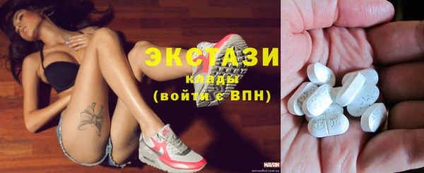 хмурый Верея