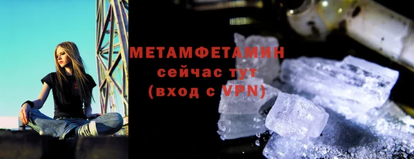 хмурый Верея