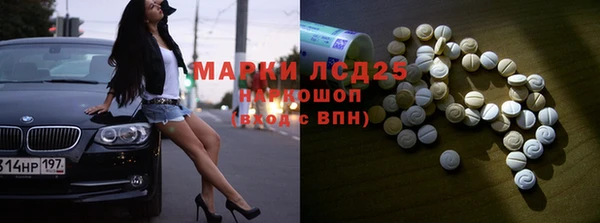 хмурый Верея