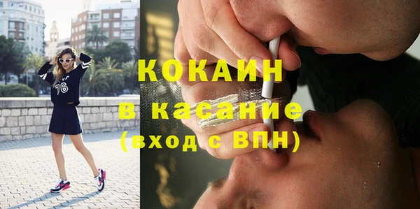 хмурый Верея