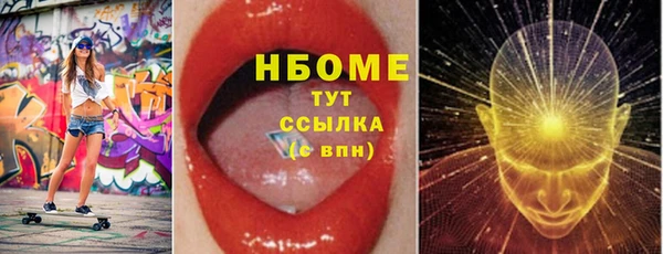 хмурый Верея