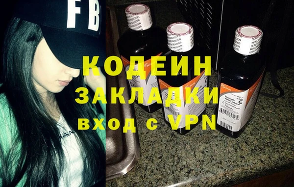 хмурый Верея