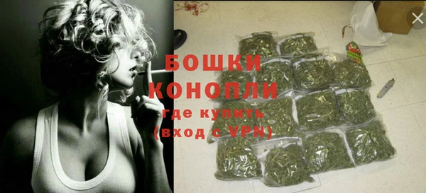 хмурый Верея