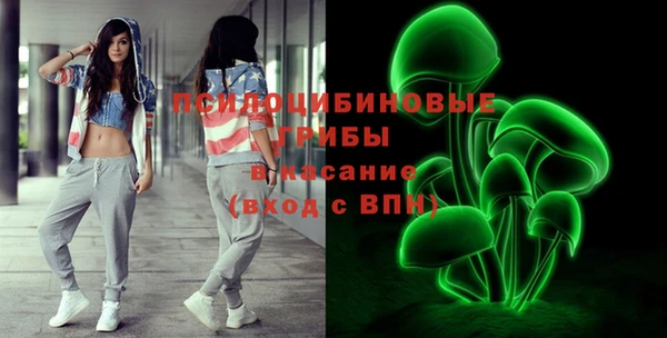 хмурый Верея