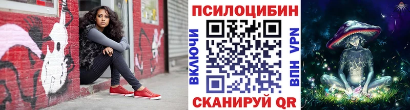 shop состав Елабуга Псилоцибиновые грибы GOLDEN TEACHER